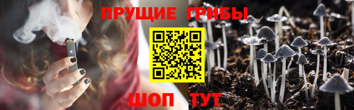 Галлюциногенные грибы прущие грибы  Вход с VPN  Мариинск 